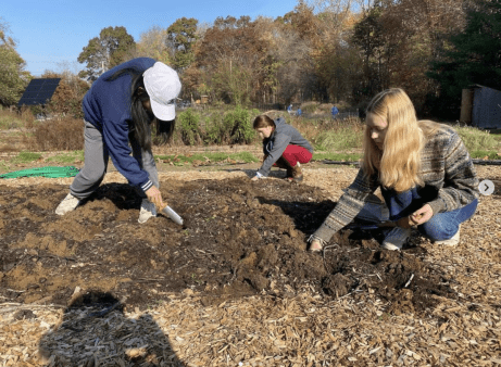 bee members working