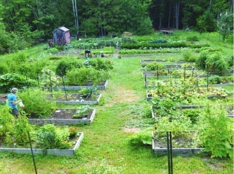 Tasker Hill Community Garden