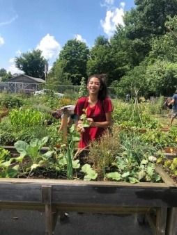 Gardening at Unity Park Community Garden