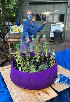 Ellen Presents:  Our Pollinator Garden Kit ( Next to a Compost Pile!)