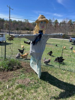 "Henrietta": Homemade honorary member. Very committed.