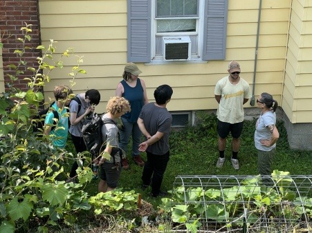 Pollinator Project with teenagers