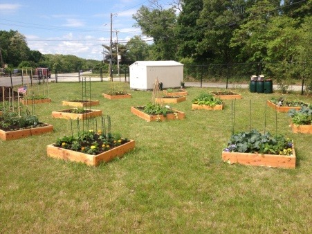 New gardens ready to grow