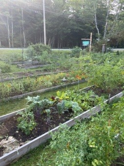 Community Garden