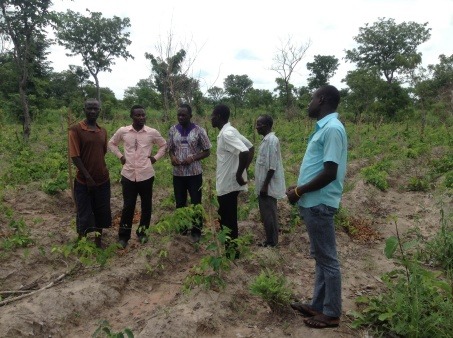 Monitoring of a demonstration site to build the capacity of smallholder farmers