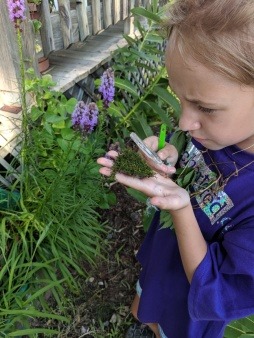 A young white girl looks through a magnifying glass at greenery from the scientific garden