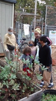 Family being shown around the garden during annual Harvest Festival