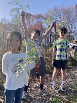 Kids harvesting fall carrots
