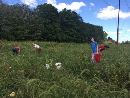 gleaning squash