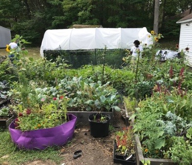 Magdala's Field of Plenty w Pollinator Garden Joy