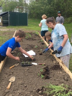 Adults and children planting seedlings in a raised garden bed.