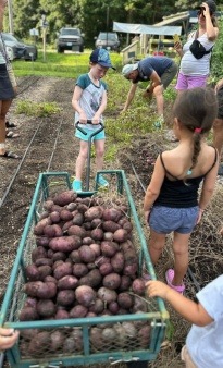 Children and Potatoes