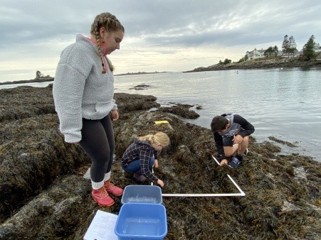 Real field work along side real scientists