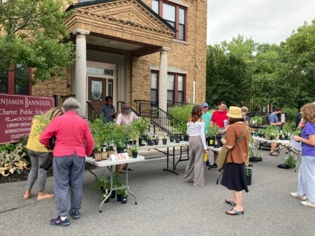 Cambridge students native plant sale!