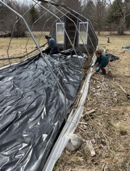 Hoop House restoration 2