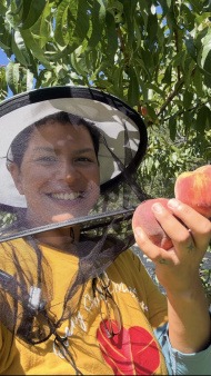 First ever peach harvest!