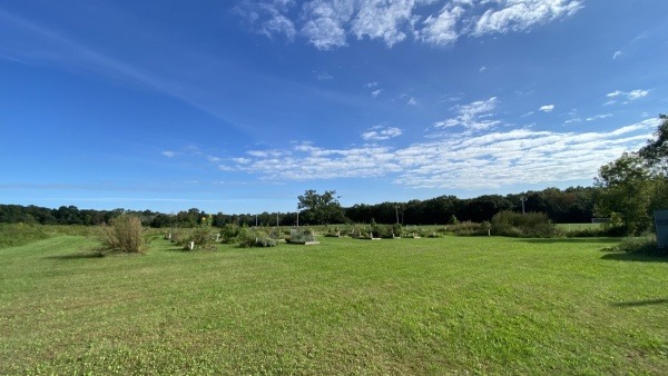 The North Attleborough Community Gardens on a sunny late-summer day