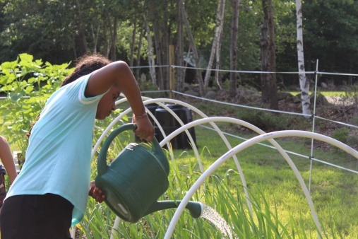 Campers watering plants at the North Woods / Pleasant Valley Garden