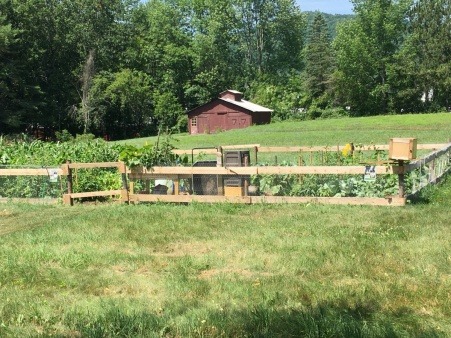 Bethel Strong Community Garden