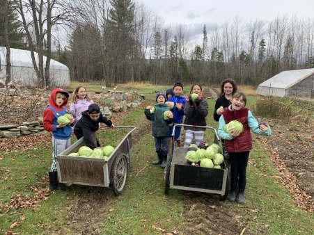 Northfield School School harvesting for school taste test
