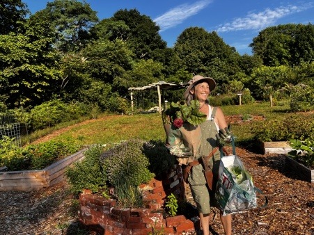 Harvesting Vegetables 