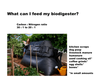 What can you feed a biodigester?