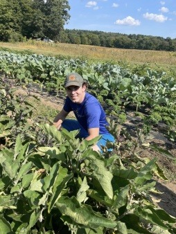 Lincoln Farm