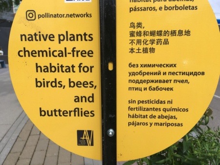 Current Multilingual Signage