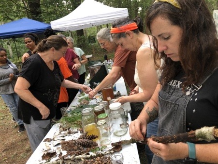Looking over natural materials for eco printing and/or dying