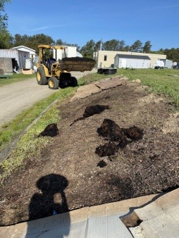 waste wool, soil building
