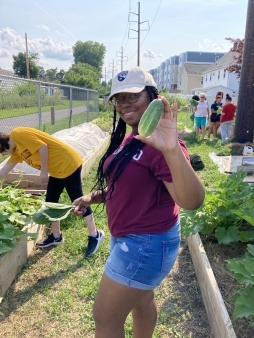 Member of the Malden Teen Enrichment Center Volunteering at the Malden Community Garden Farm.