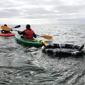 NECWA volunteers rescuing an ocean sunfish that was stranded in Wellfleet Harbor. 