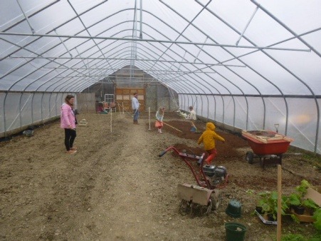 Early planting volunteers