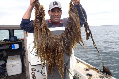 Man with kelp