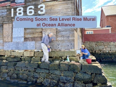 Boater  will be able see the effect of more violent storms on Gloucester Harbor