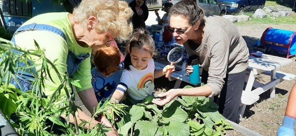 Hunting for Garden Pests