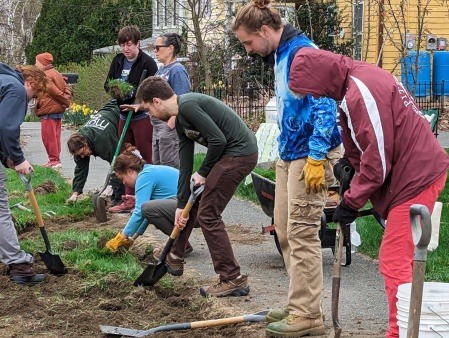 Removing sod for the Pollinator Pathway Pilot project