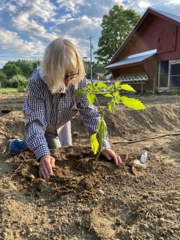 Peggy puts the first the first plant in the ground at the RCG 