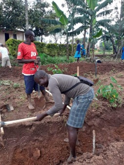 digging a swale