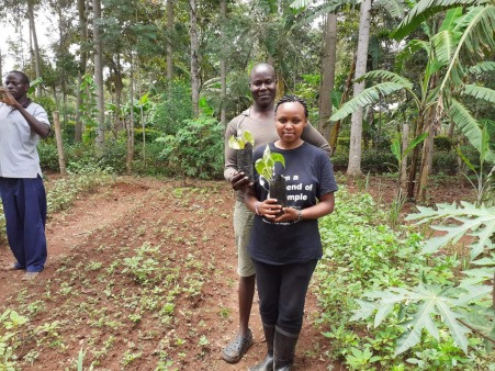 tree planting