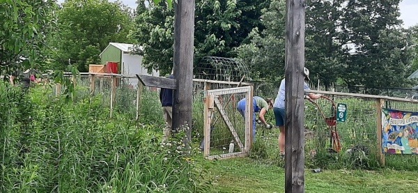 Developing Food Forest