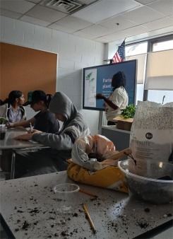 Green Roots Summer Steam Program