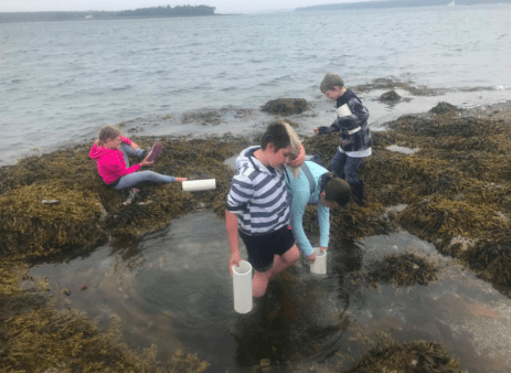 Tidepooling 