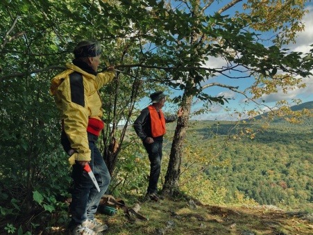 The stunning Lookout at the top of the Shattuck Mountain Trail