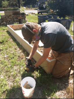 Solidarity Gardens Bed Building