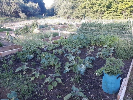 Somersworth Community Garden