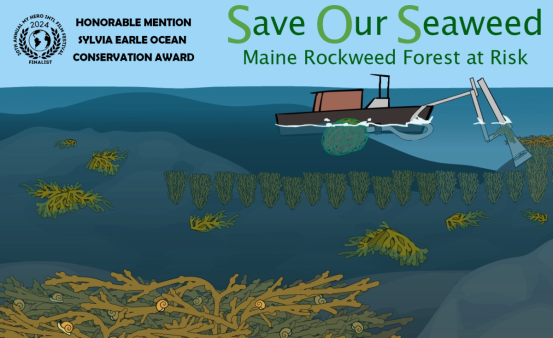 Animated film frame showing a rockweed harvest boat in the seaweed and the award it won