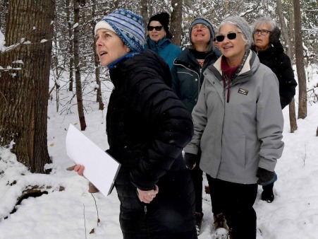 Guided walk at Sowams Woods