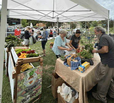 Share the Harvest Stand