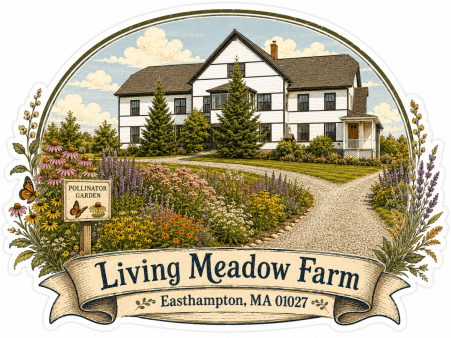 honoring the past, planning for future old town farm reimagined